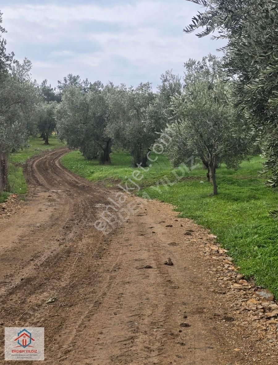 Erdem Yıldız'dan Göl Manzaralı Çok Bakımlı Yan Yana 2 Adet Arazi - Görsel 6