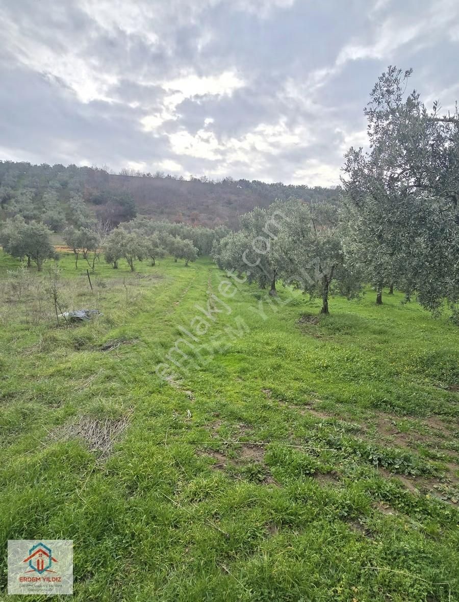 Erdem Yıldız'dan Göl Manzaralı Çok Bakımlı Yan Yana 2 Adet Arazi - Görsel 15