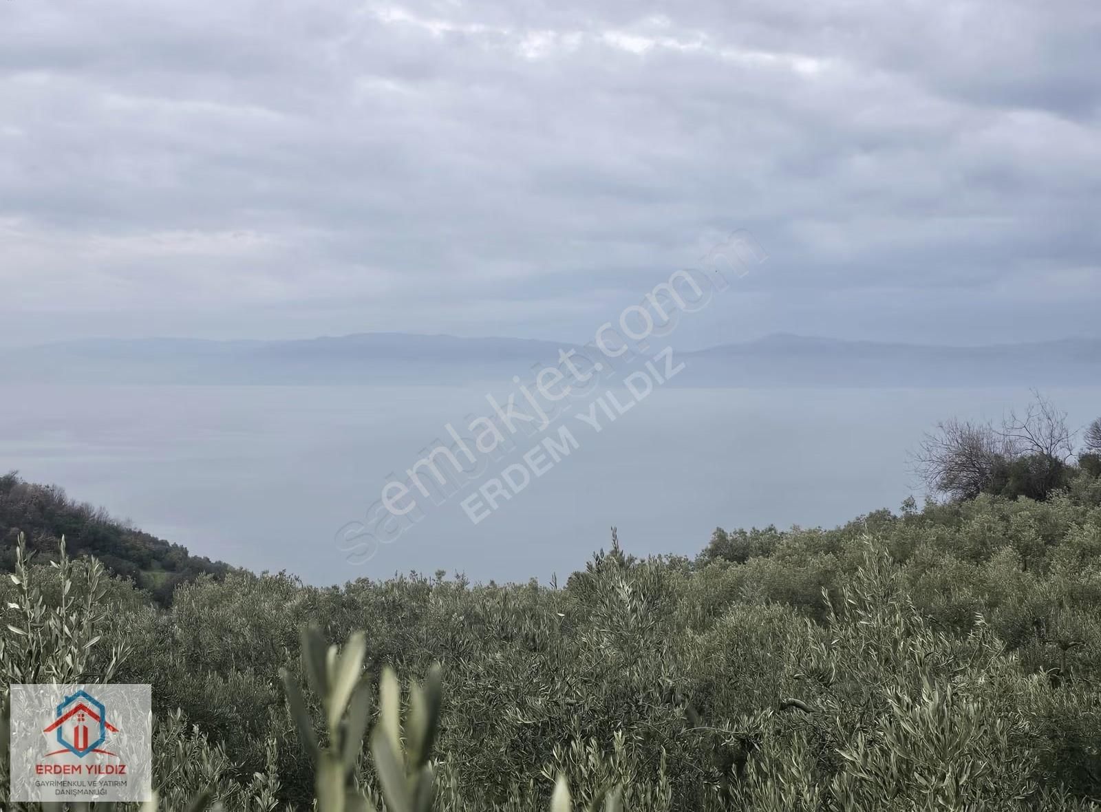 Erdem Yıldız'dan Göl Manzaralı Çok Bakımlı Yan Yana 2 Adet Arazi