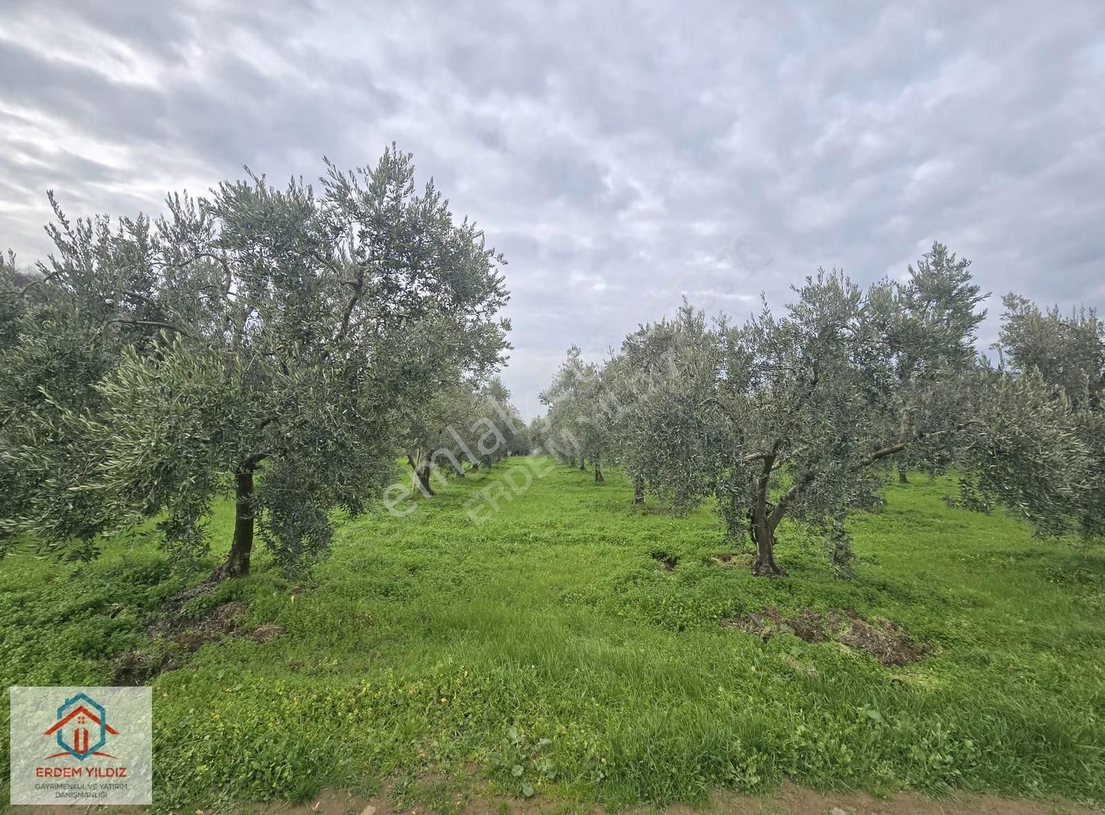 Erdem Yıldız'dan Göl Manzaralı Çok Bakımlı Yan Yana 2 Adet Arazi - Görsel 21