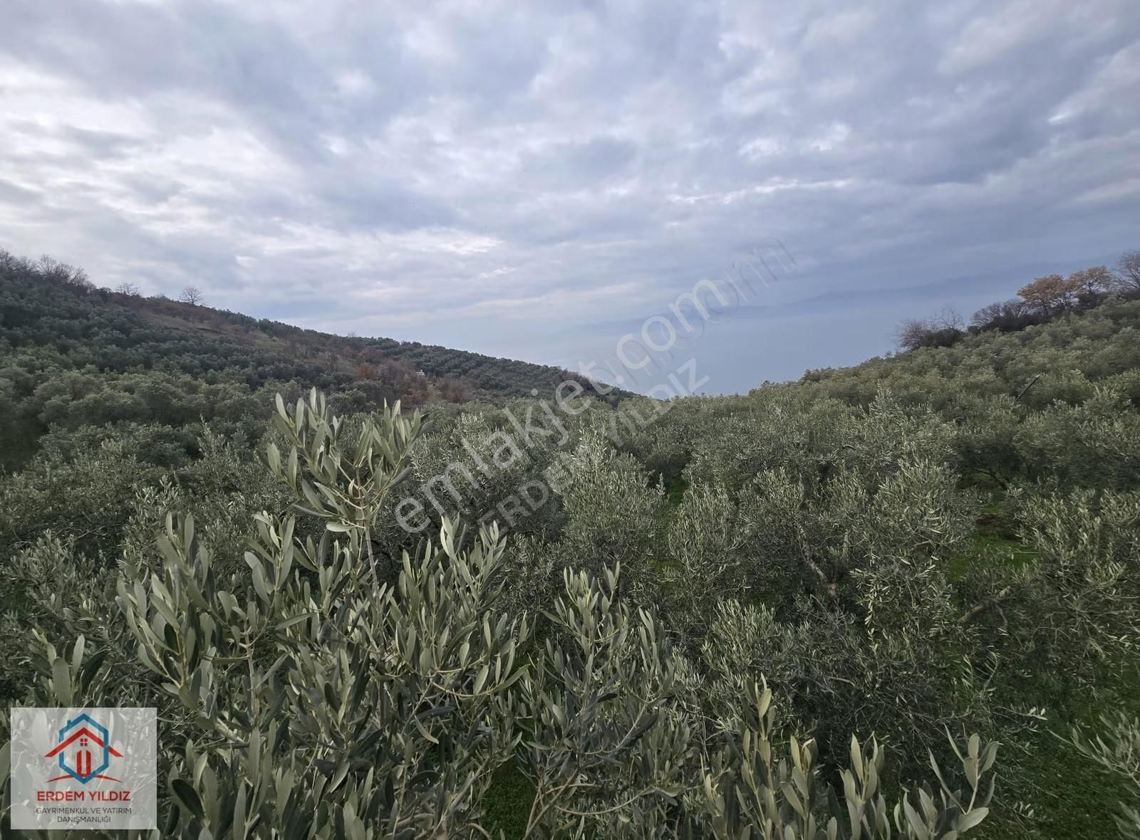 Erdem Yıldız'dan Göl Manzaralı Çok Bakımlı Yan Yana 2 Adet Arazi - Görsel 2