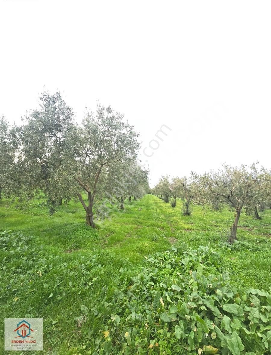 Erdem Yıldız'dan 13.600 M² Göl Manzaralı Suyu Olan 3 Adet Tarla - Görsel 4