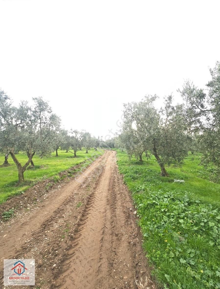 Erdem Yıldız'dan 13.600 M² Göl Manzaralı Suyu Olan 3 Adet Tarla - Görsel 5