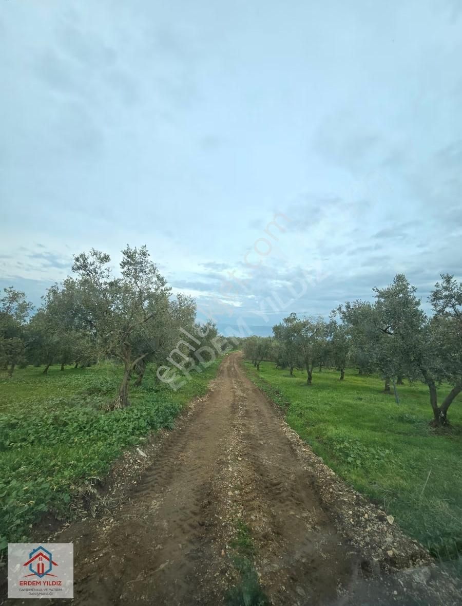 Erdem Yıldız'dan 13.600 M² Göl Manzaralı Suyu Olan 3 Adet Tarla - Görsel 2