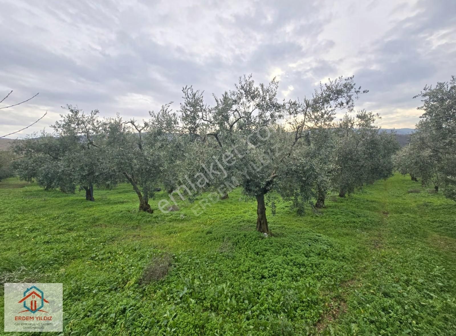 Erdem Yıldız'dan İmar Alanına Komşu! İznikte Yatırımlık Arsa - Görsel 9