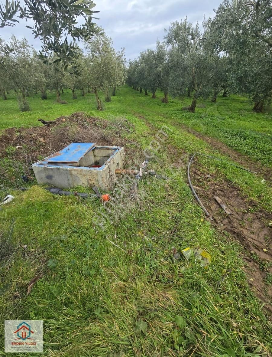 Erdem Yıldız'dan İmar Alanına Komşu! İznikte Yatırımlık Arsa - Görsel 19