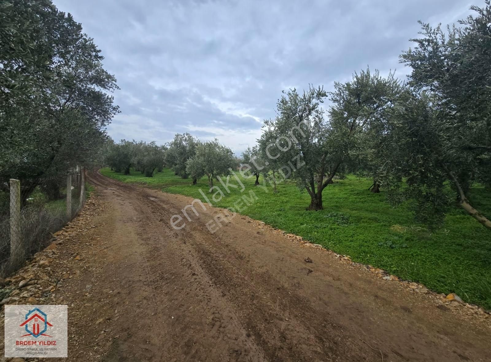 Erdem Yıldız'dan İmar Alanına Komşu! İznikte Yatırımlık Arsa