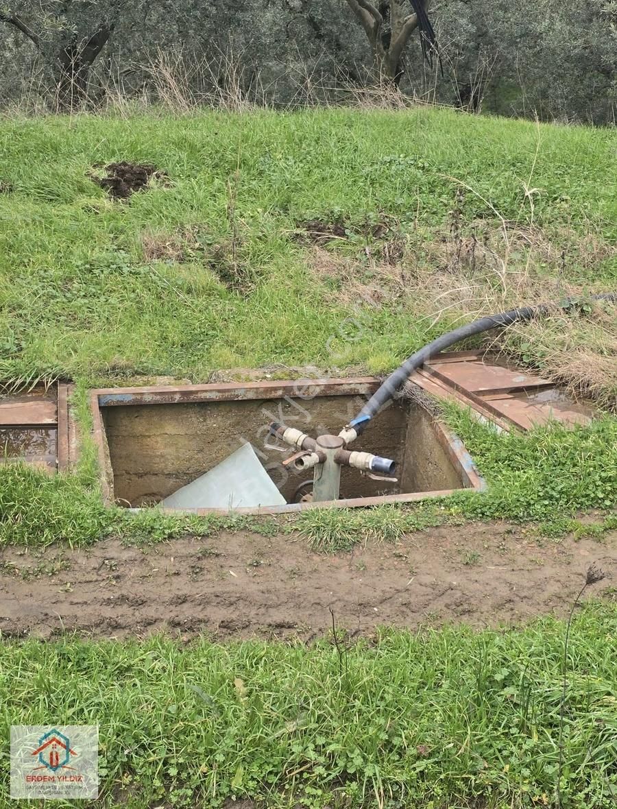 Erdem Yıldız'dan İmar Alanına Komşu! İznikte Yatırımlık Arsa - Görsel 7