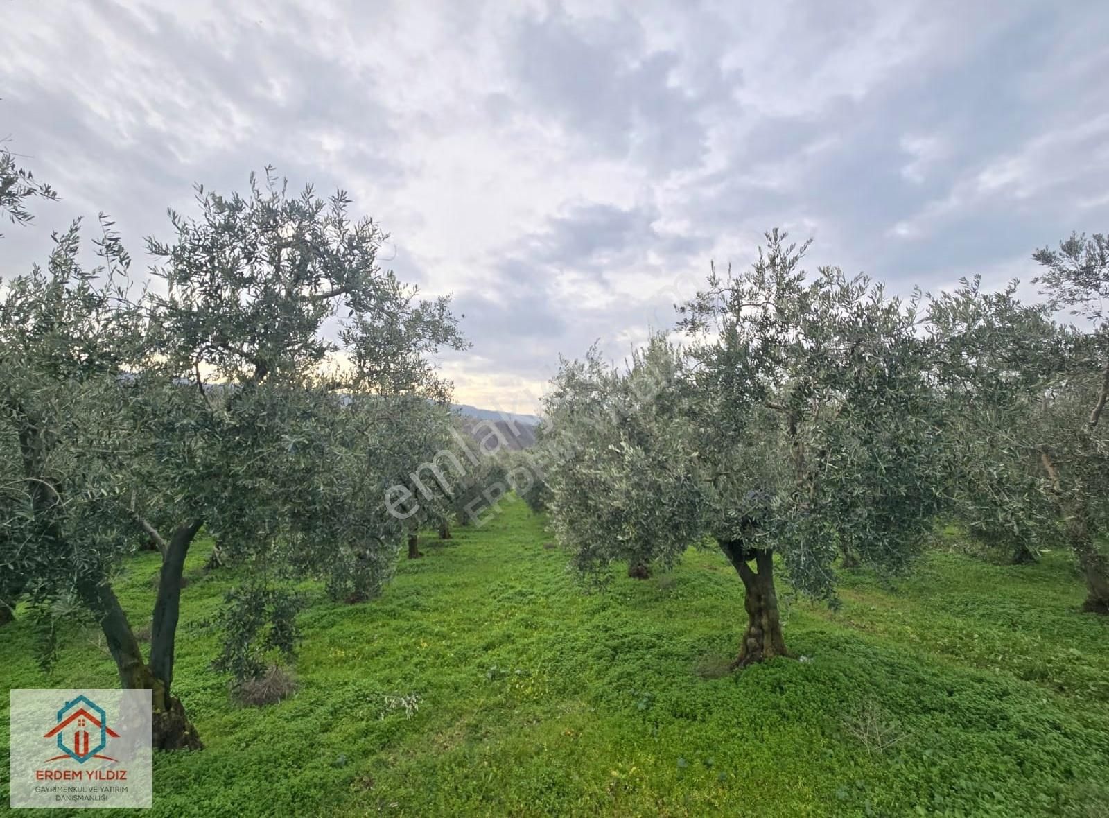 Erdem Yıldız'dan İmar Alanına Komşu! İznikte Yatırımlık Arsa - Görsel 16