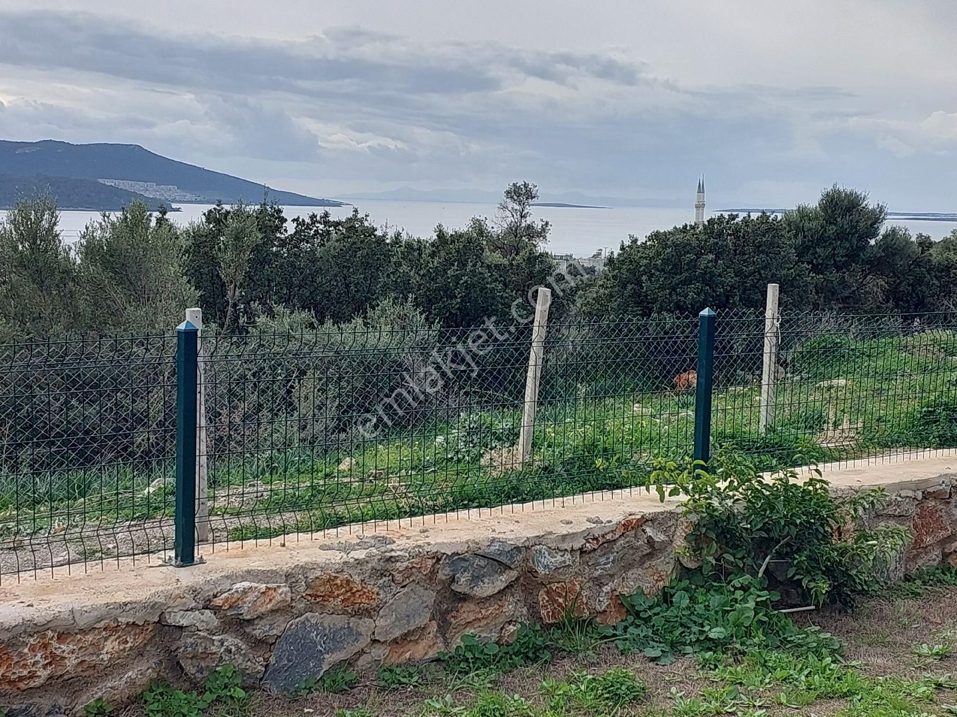 Denize 800m Villa 3+1 Havuzlu, Otoparklı Kendi Plaj (beach)alanı Mevcuttur - Görsel 30