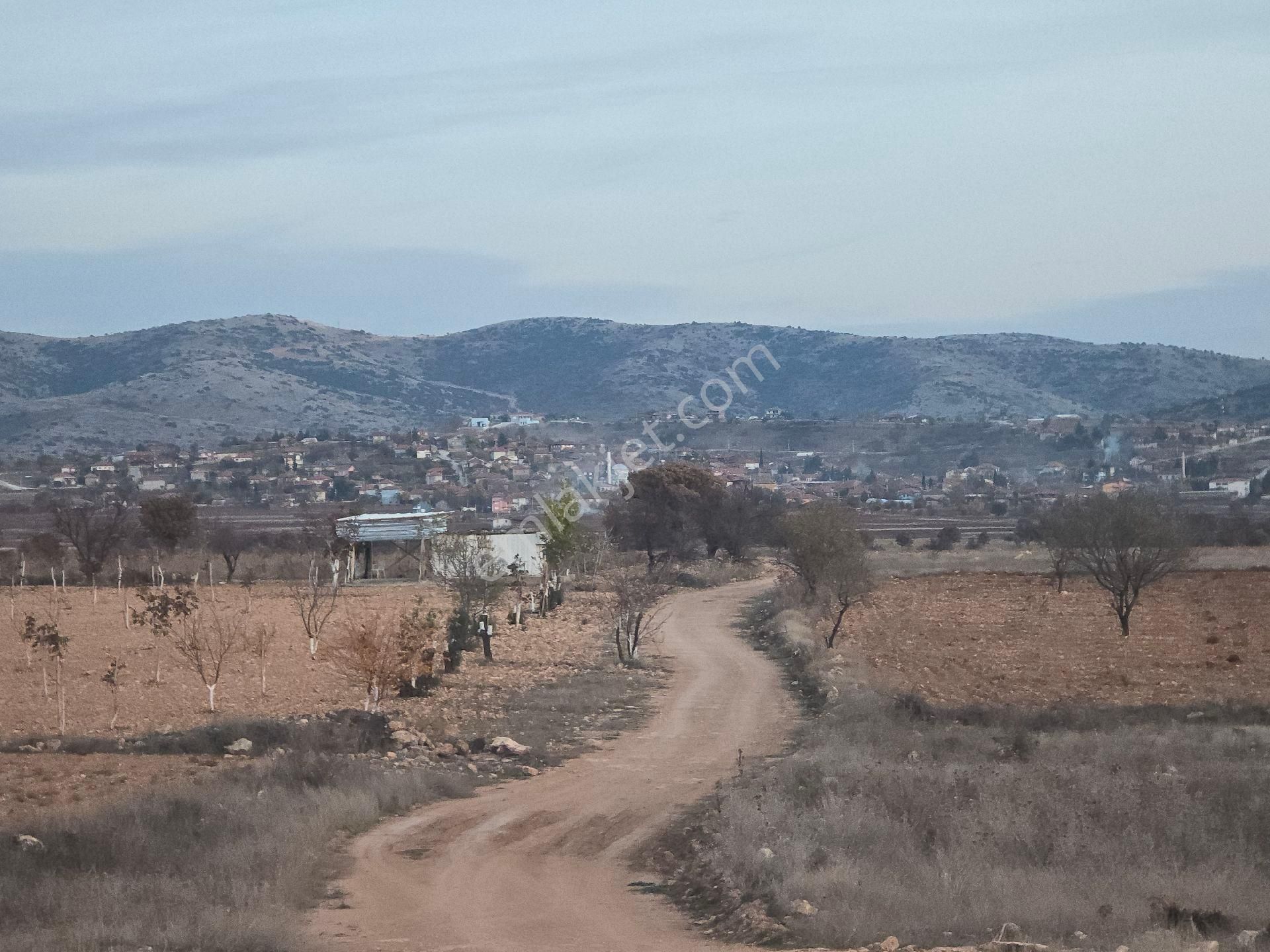 Denizli Bekilli Kutlubey'de 3.126 M2 Hobi Bahçesi. Bal Meyve Kümes Besiye Uygun. Açıklamayı Okuyunuz - Görsel 30