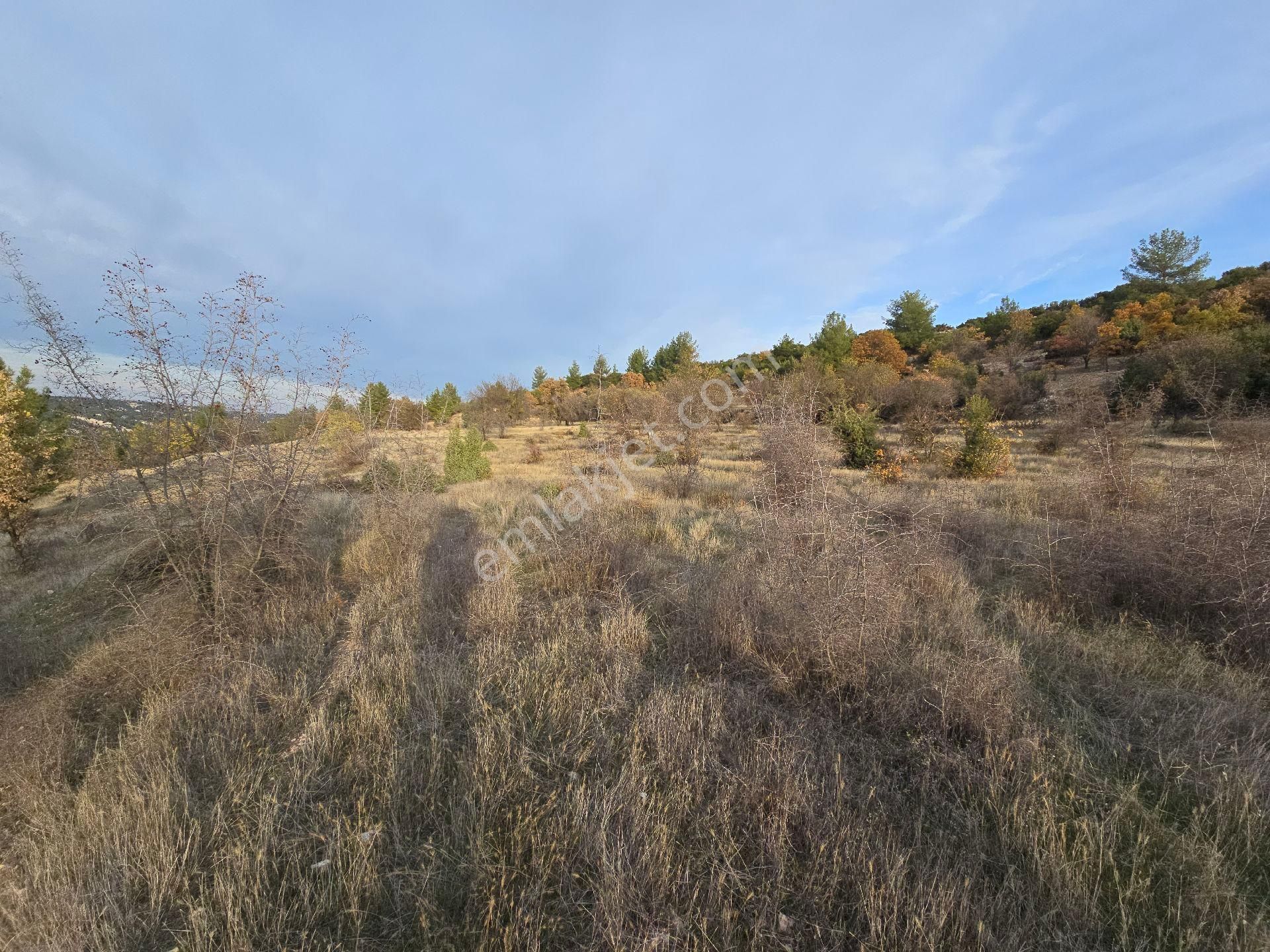 Denizli Bekilli Kutlubey'de 3.126 M2 Hobi Bahçesi. Bal Meyve Kümes Besiye Uygun. Açıklamayı Okuyunuz - Görsel 12