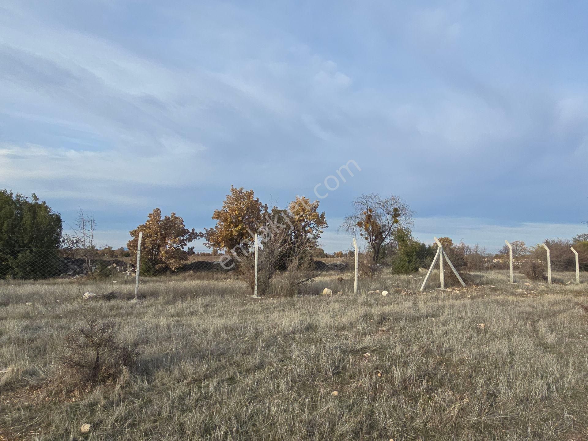 Denizli Bekilli Kutlubey'de 3.126 M2 Hobi Bahçesi. Bal Meyve Kümes Besiye Uygun. Açıklamayı Okuyunuz - Görsel 4