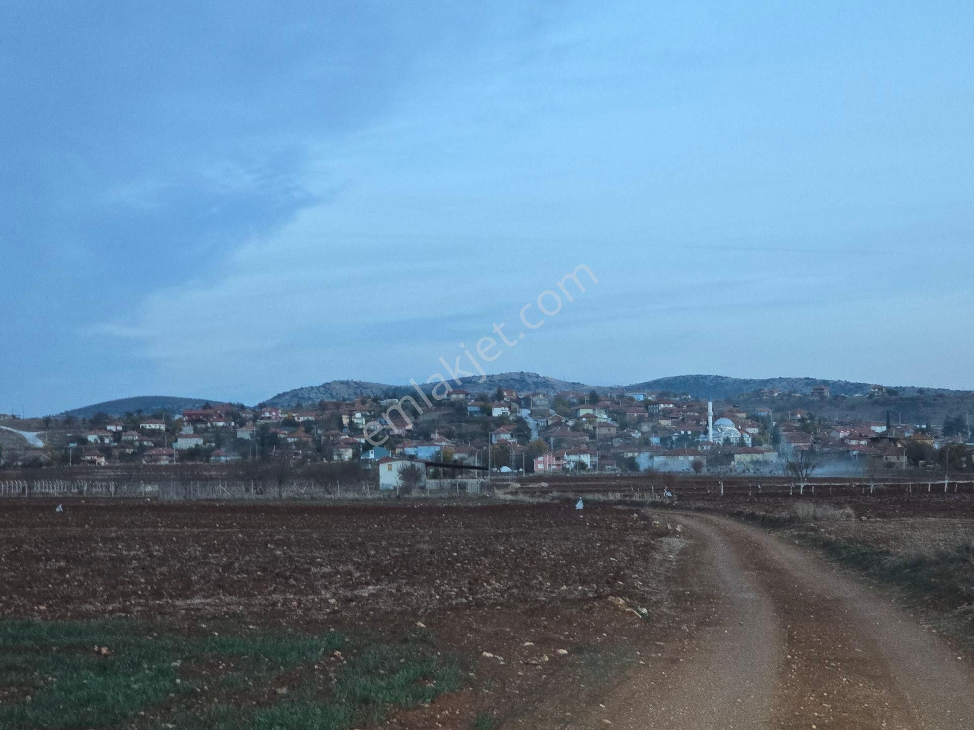 Denizli Bekilli Kutlubey'de 3.126 M2 Hobi Bahçesi. Bal Meyve Kümes Besiye Uygun. Açıklamayı Okuyunuz - Görsel 31