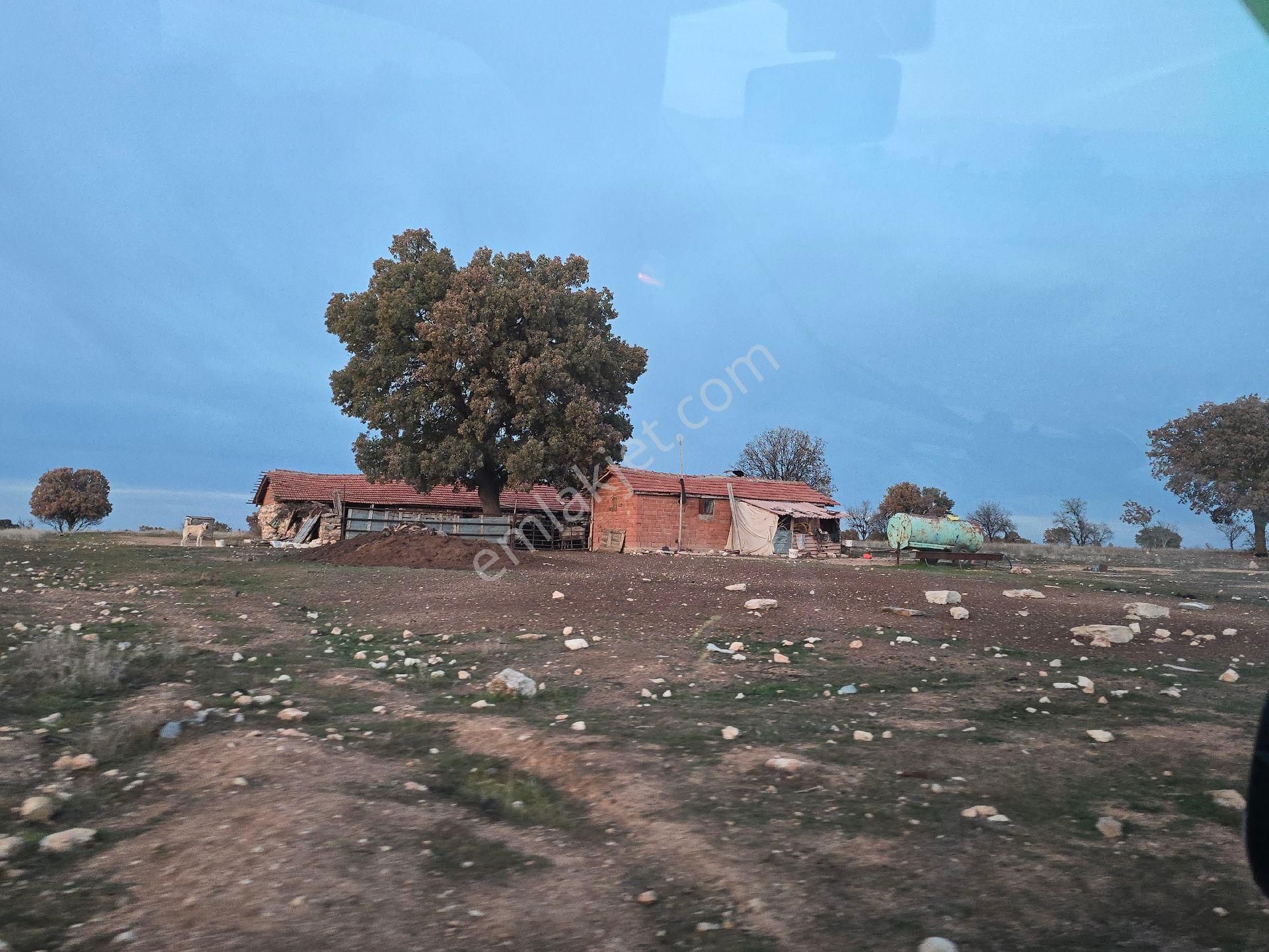 Denizli Bekilli Kutlubey'de 3.126 M2 Hobi Bahçesi. Bal Meyve Kümes Besiye Uygun. Açıklamayı Okuyunuz - Görsel 27