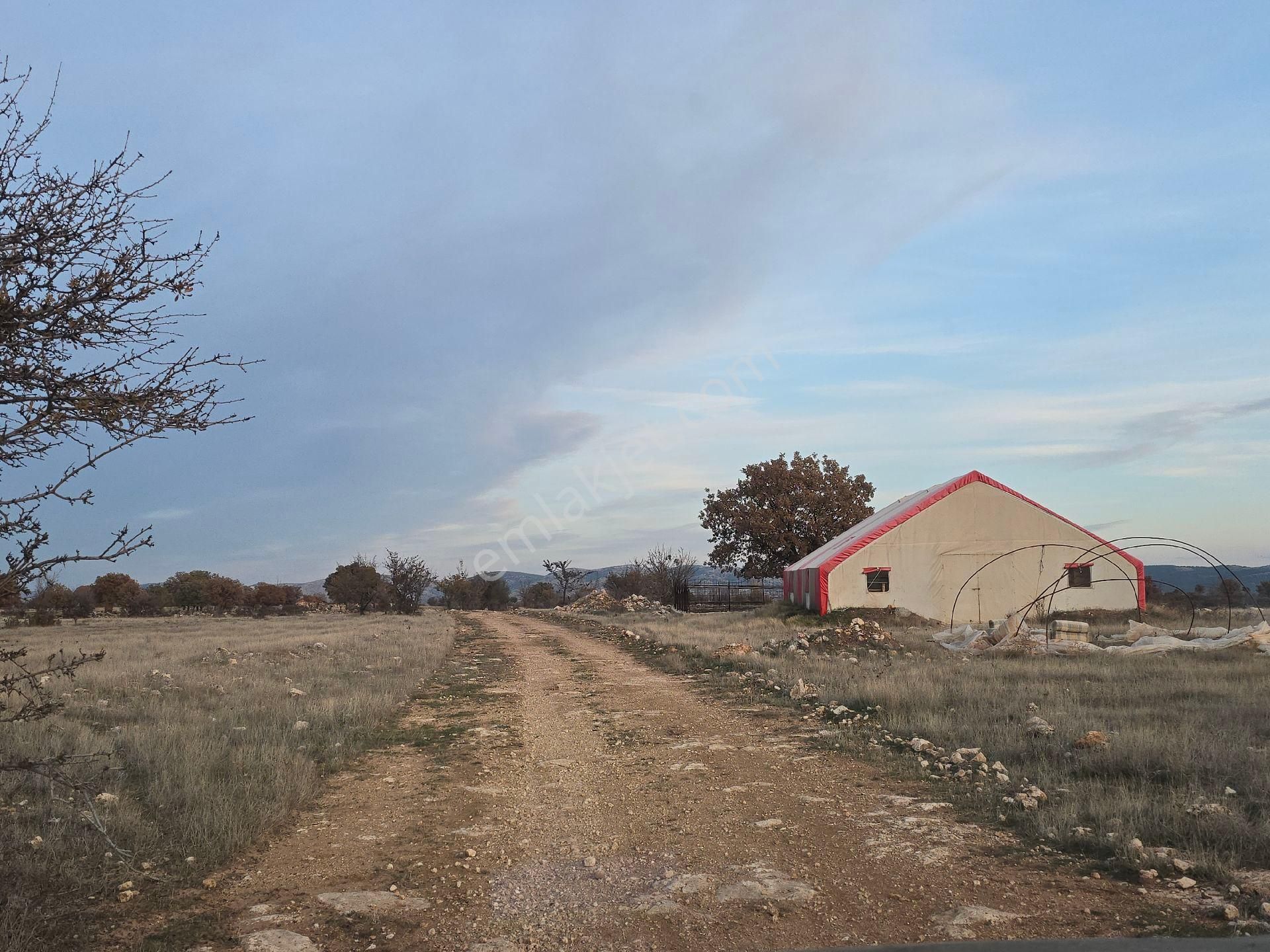 Denizli Bekilli Kutlubey'de 3.126 M2 Hobi Bahçesi. Bal Meyve Kümes Besiye Uygun. Açıklamayı Okuyunuz - Görsel 25
