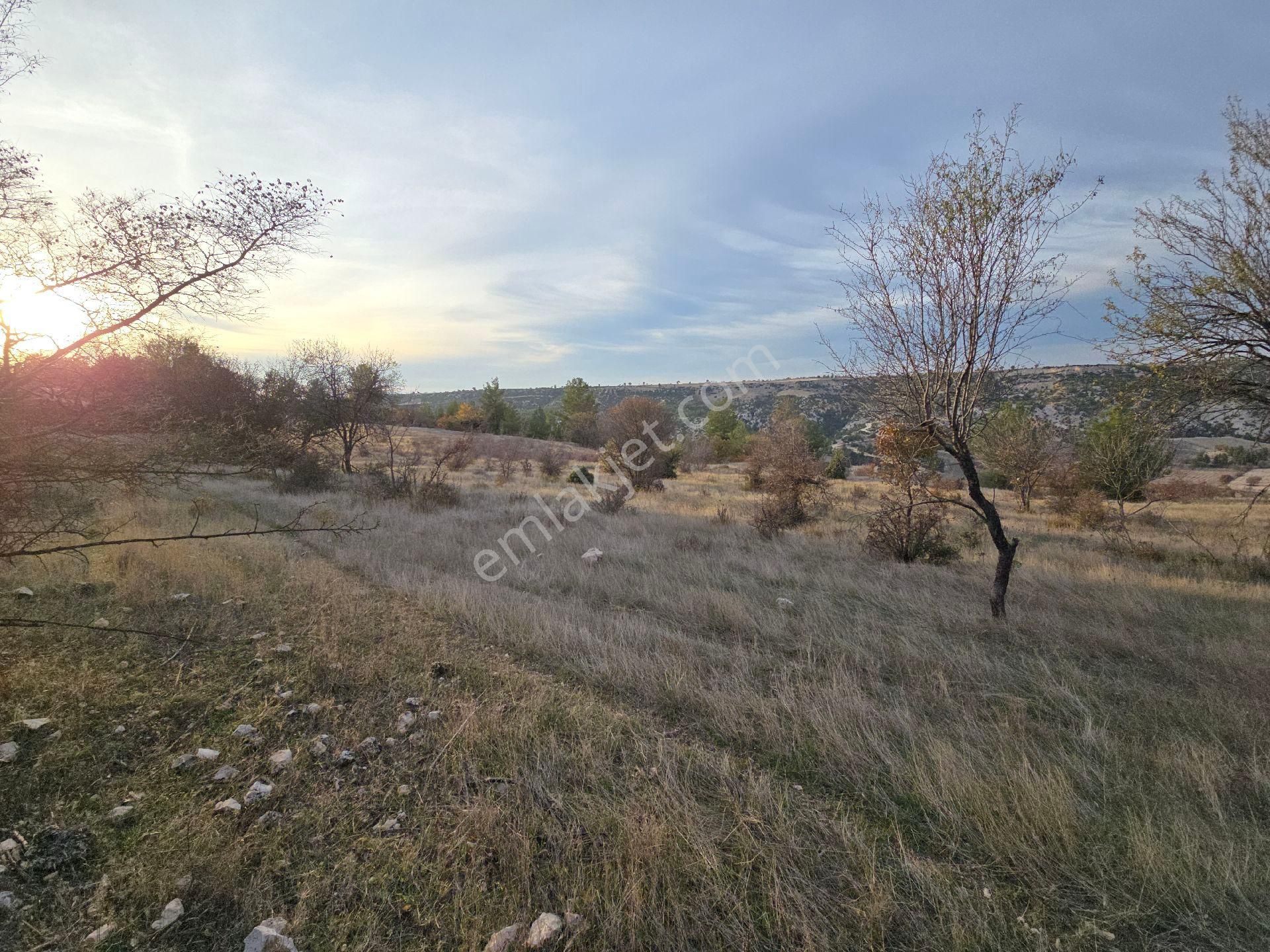 Denizli Bekilli Kutlubey'de 3.126 M2 Hobi Bahçesi. Bal Meyve Kümes Besiye Uygun. Açıklamayı Okuyunuz - Görsel 23