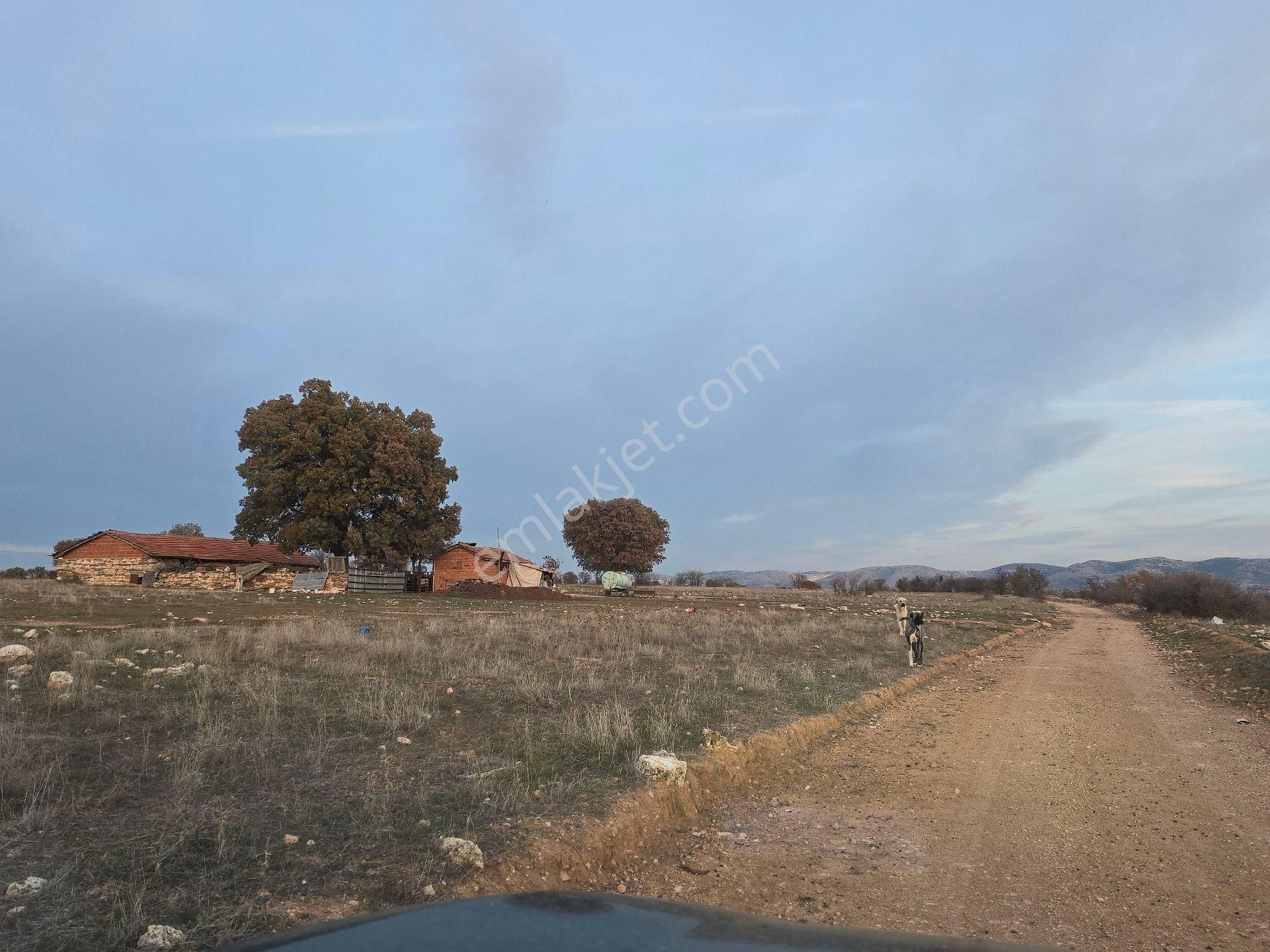 Denizli Bekilli Kutlubey'de 3.126 M2 Hobi Bahçesi. Bal Meyve Kümes Besiye Uygun. Açıklamayı Okuyunuz - Görsel 26