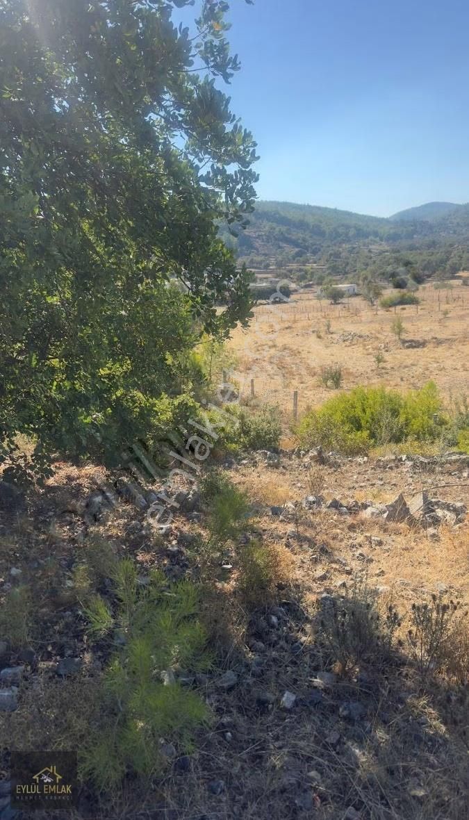 Bodrum Mazı Mahallesinde Satılık Arazi - Görsel 5
