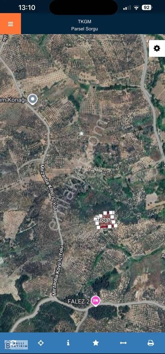 Yatırım Fırsatı / Mudanya Dereköyde Satılık 3927 M2 Zeytinlik - Görsel 13