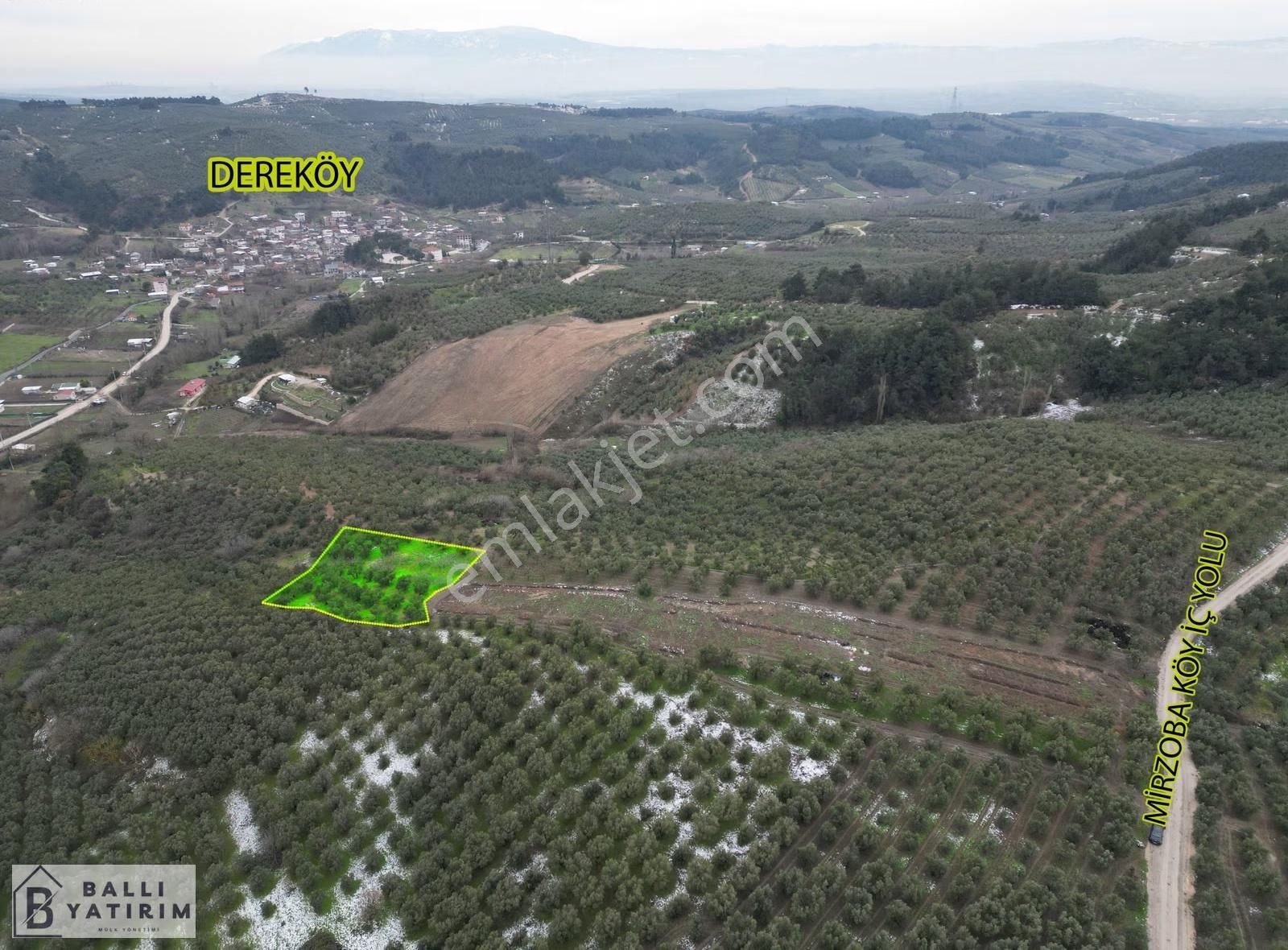 Yatırım Fırsatı / Mudanya Dereköyde Satılık 3927 M2 Zeytinlik - Görsel 12