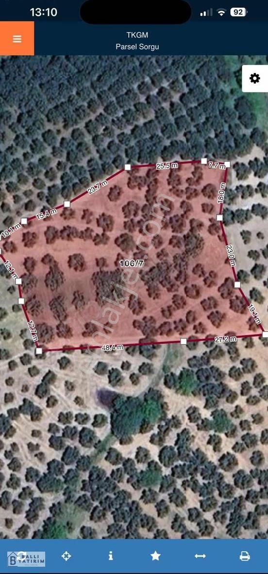 Yatırım Fırsatı / Mudanya Dereköyde Satılık 3927 M2 Zeytinlik - Görsel 5
