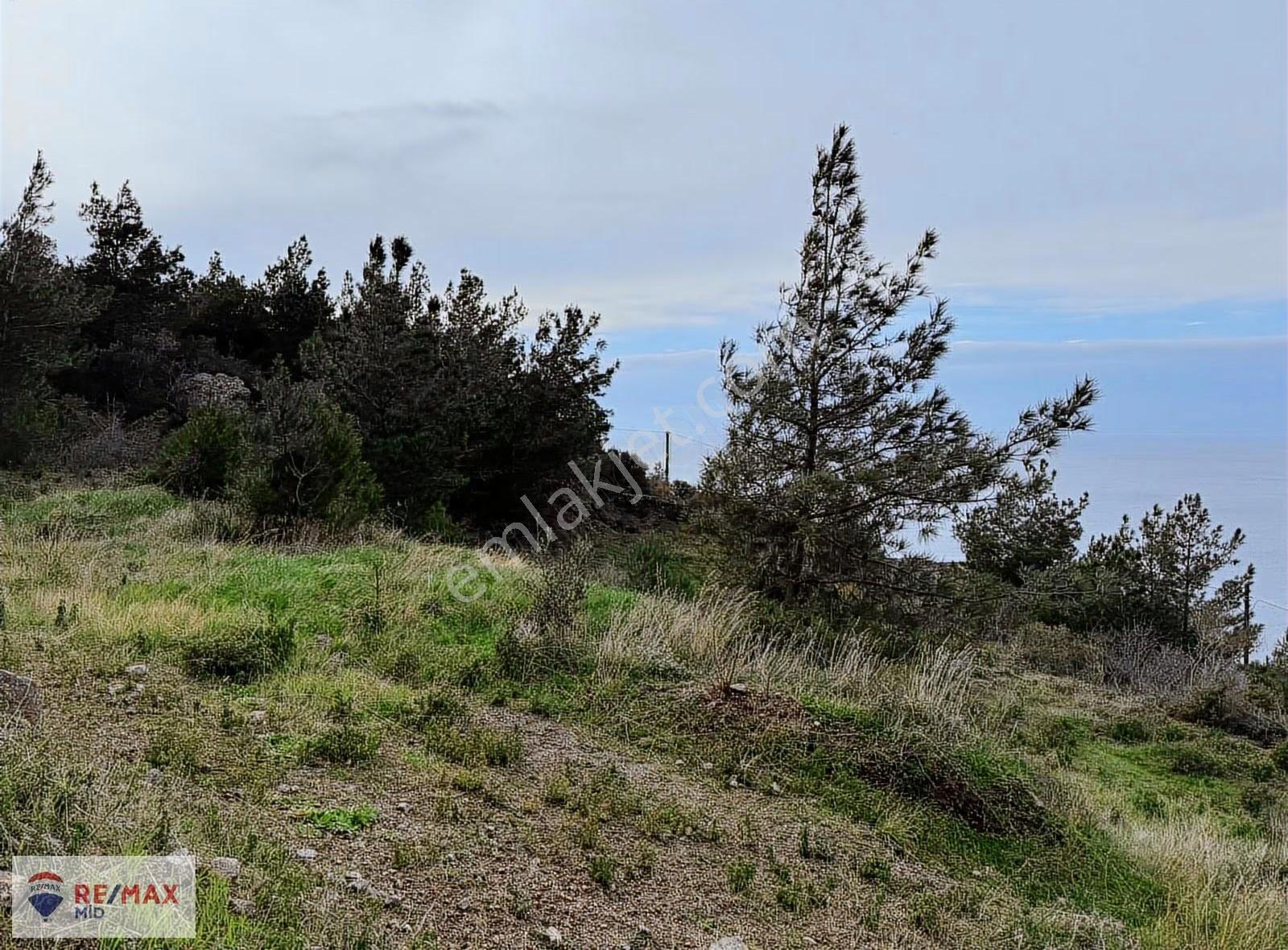 Remax Mid Babakale'de Deniz Manzaralı Satılık Zeytinlik - Görsel 10