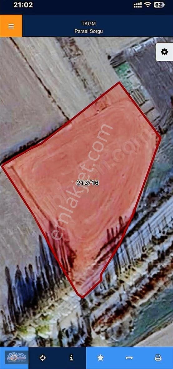 Furkan Emlak Tan İncesu Da Satılık Asfalta Cepheli Tarla