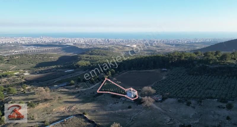 Yenişehir Emirlerde Efsane Parsel Manzarası Dünya Ligi