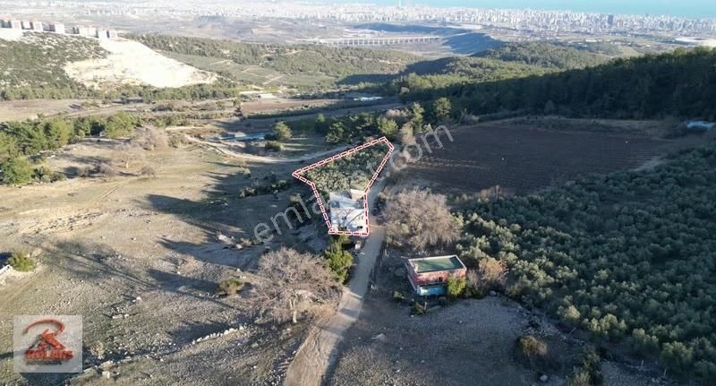 Yenişehir Emirlerde Efsane Parsel Manzarası Dünya Ligi - Görsel 24