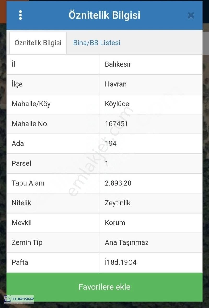 Balıkesir Havran Köylüce'de 2893 M2 Satılık Zeytinlik
