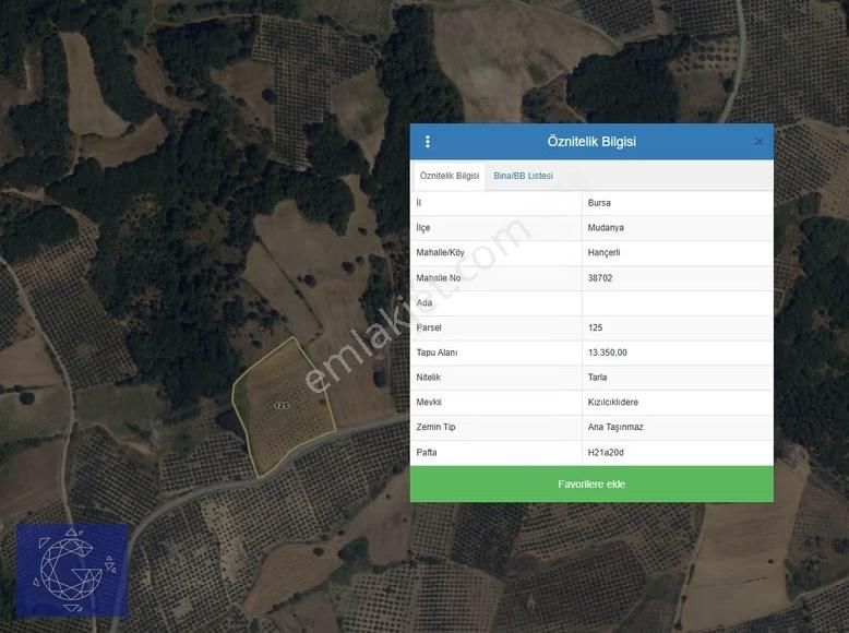 Mudanya Hançerli'de 112 Metre Asfalt Yola Cephe Satılık Tarla - Görsel 2