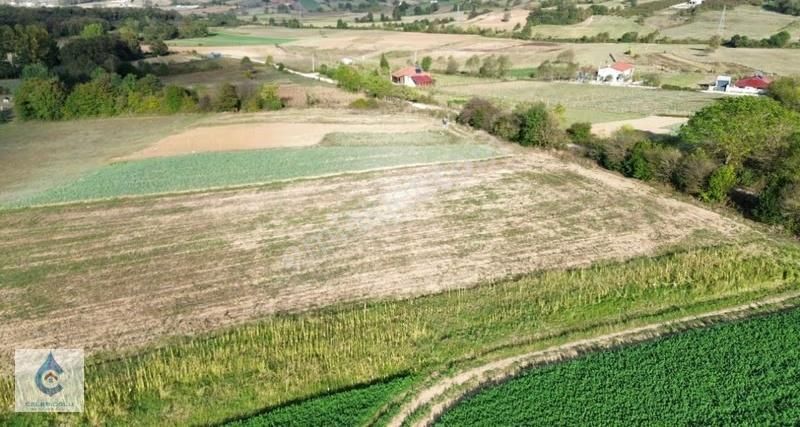 Kandıra Özbey'de Ana Cadde Üzerinde Satılık 8.117 M² Tarla - Görsel 4