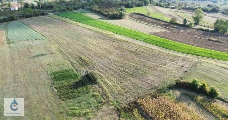 Kandıra Özbey'de Ana Cadde Üzerinde Satılık 8.117 M² Tarla - Görsel 3