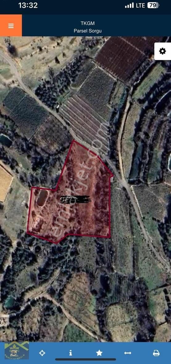 Esenpınar Da 6645 M2 Satılık Ceviz Bahçesi