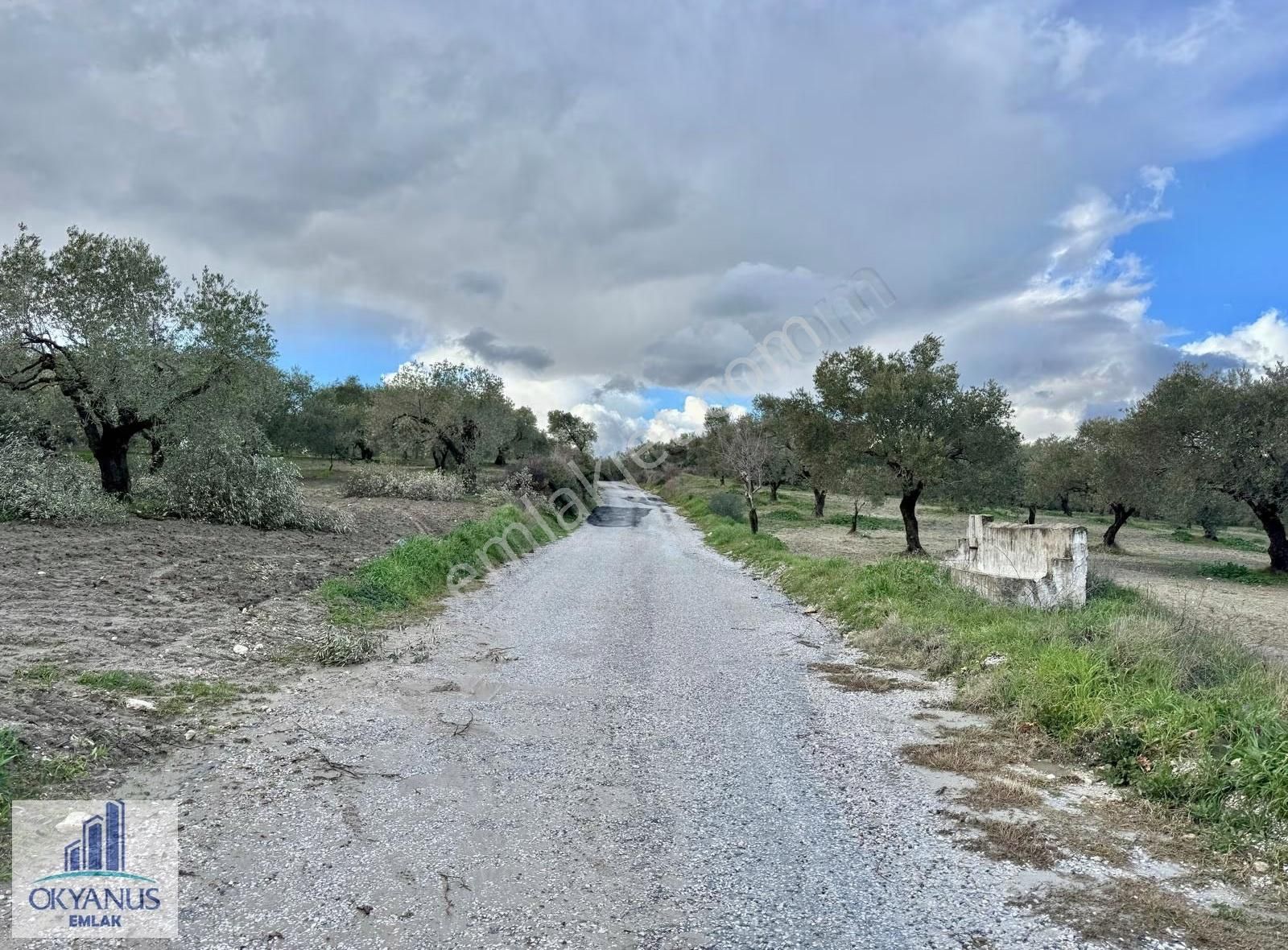 Gökçeköy -ç.osmaniye Asfaltına Sıfır, 190 Mt Yola Cepheli - Görsel 11