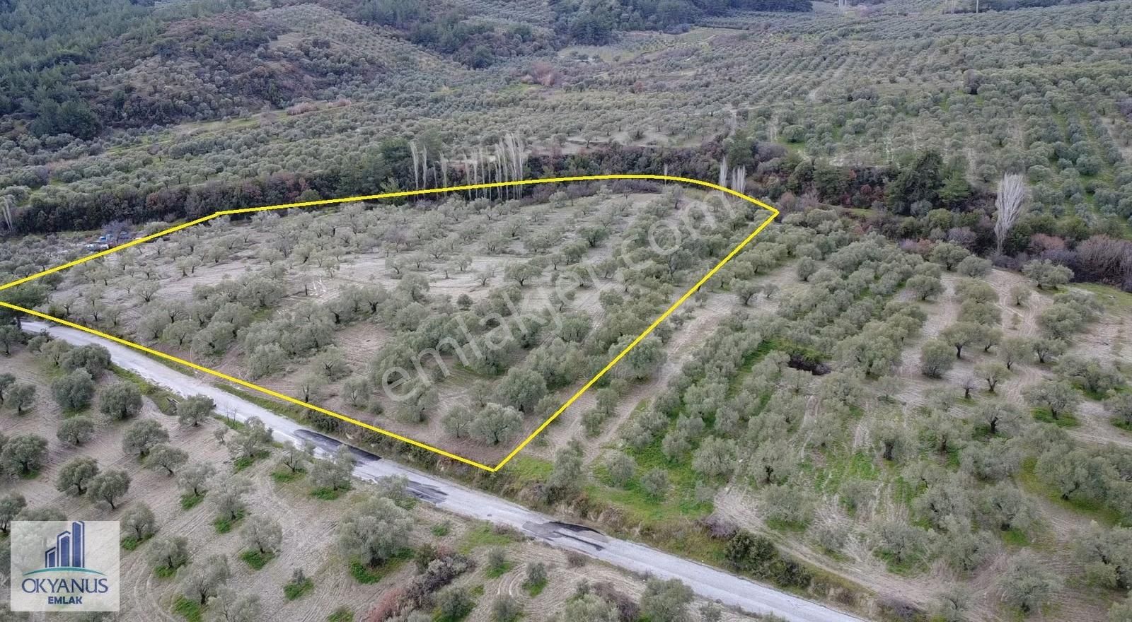 Gökçeköy -ç.osmaniye Asfaltına Sıfır, 190 Mt Yola Cepheli