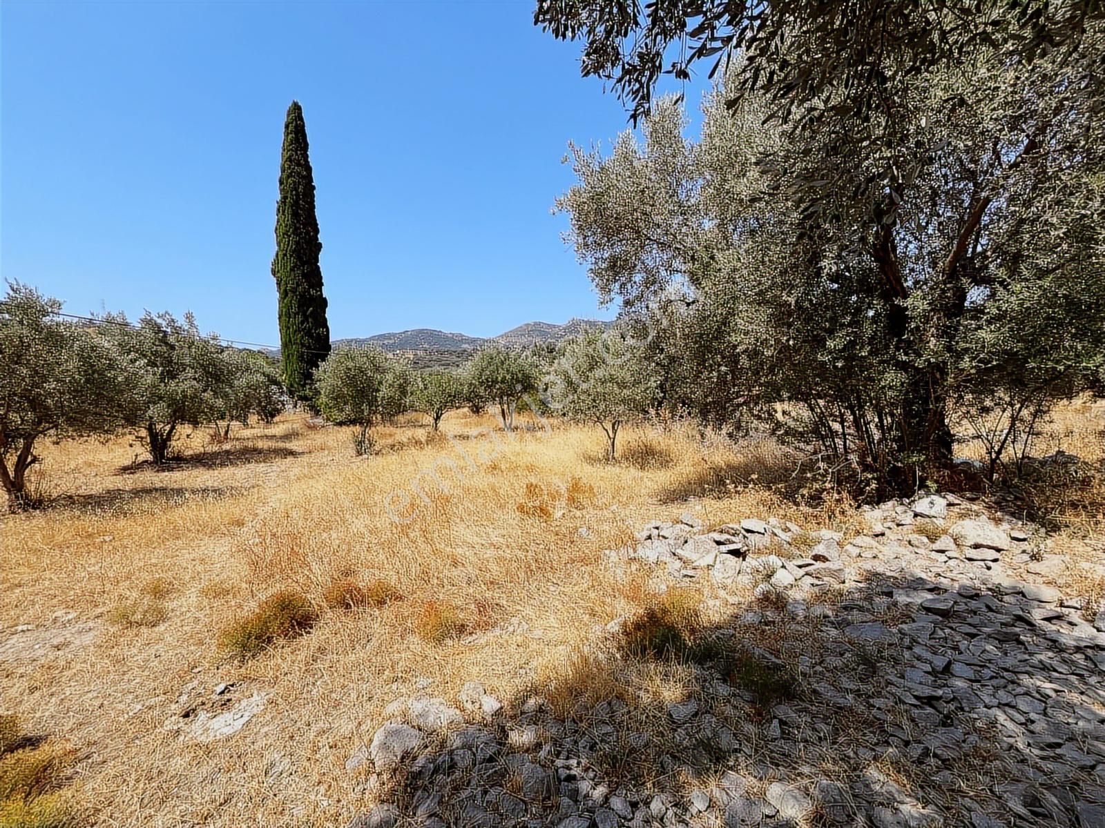 Bodrum Ortaken'te Satılık Tarla - Görsel 2
