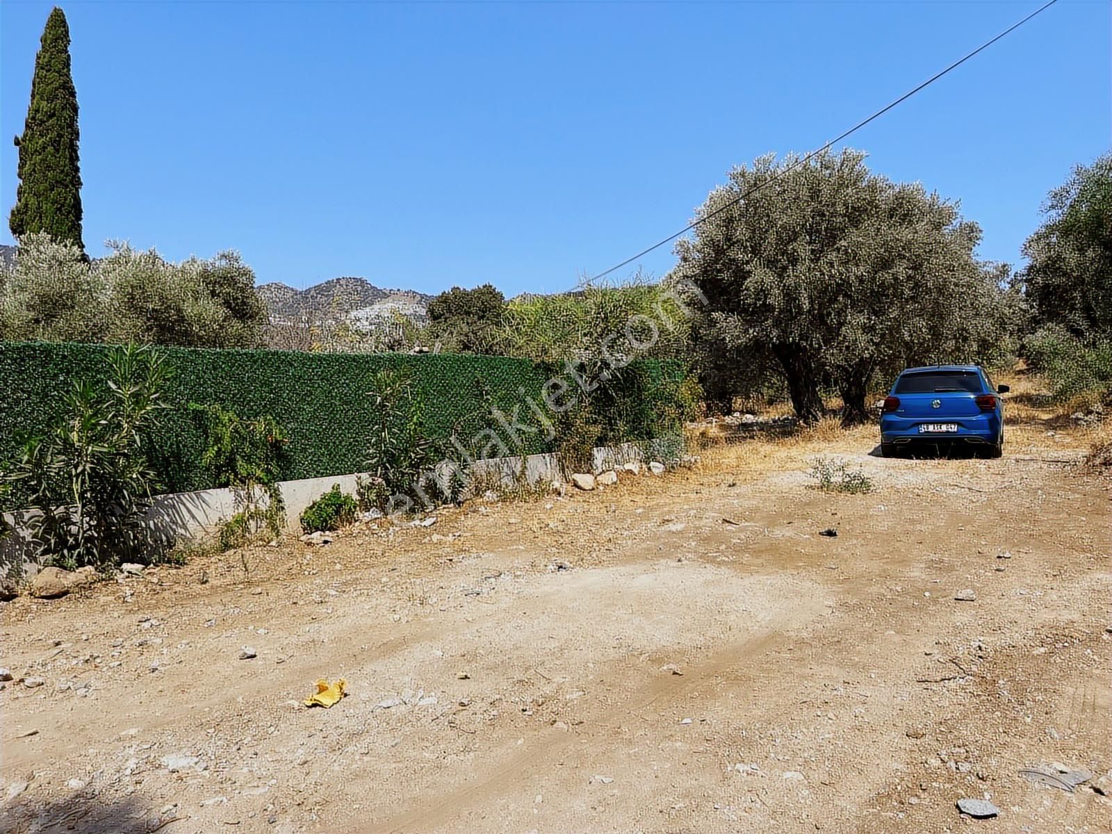 Bodrum Ortaken'te Satılık Tarla - Görsel 4