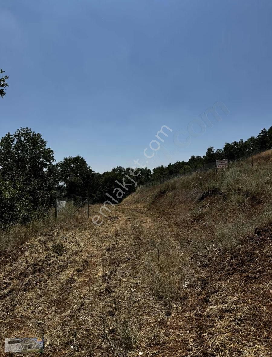 Kestel Ümitalanda Yola Cephe Elektirik Su Bulunan Arsa - Görsel 2