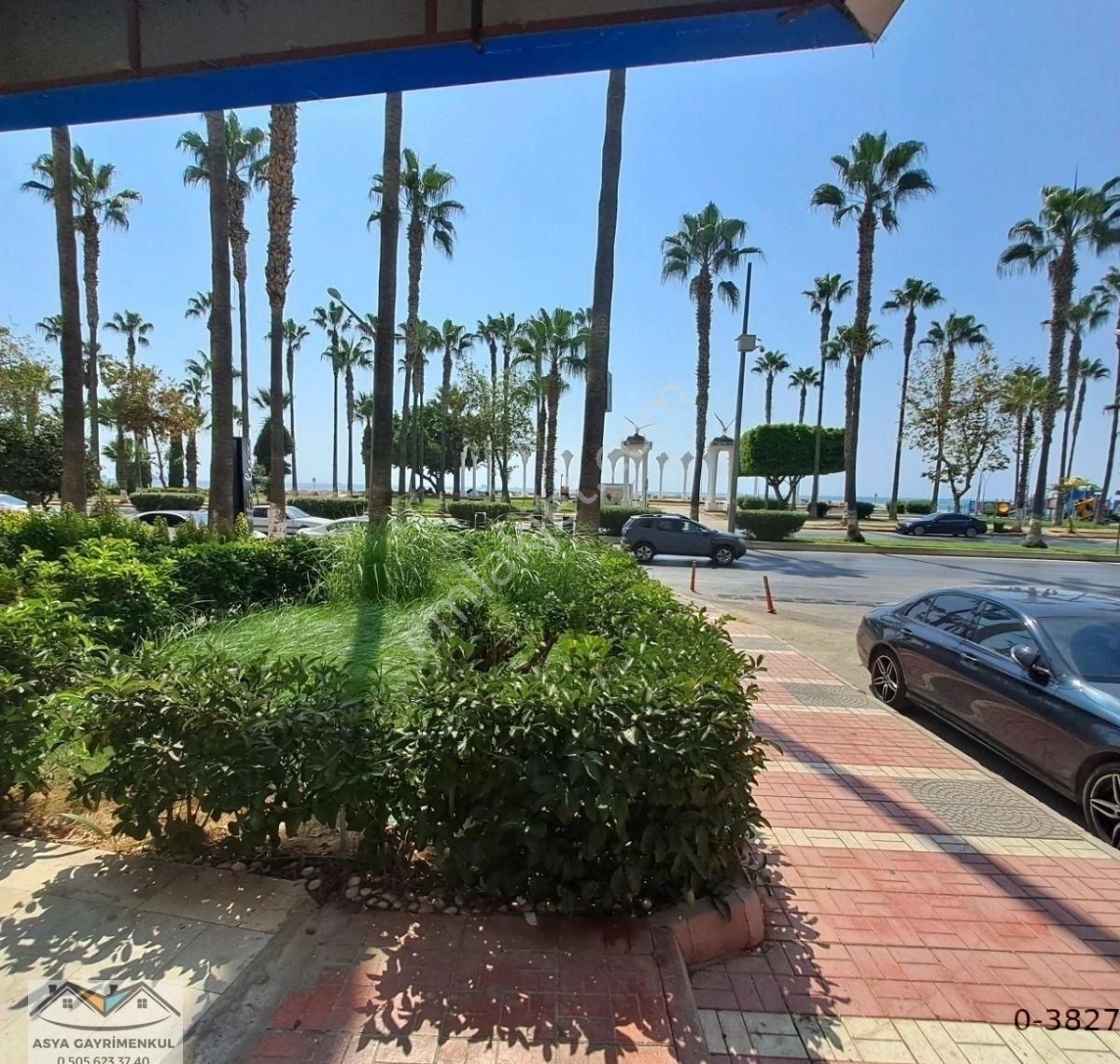 Yenişehir' De Fiyat Artmadan Alınacak 3+1 - Görsel 12