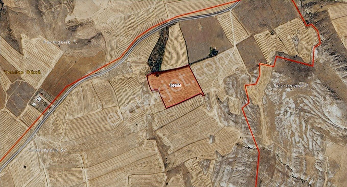 Hedef Emlaktan Yenicede Yol Kenarı 9.250 M2 Tarla