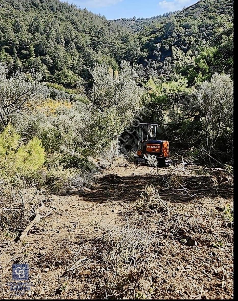 Seferihisar Baraj Bölgesinde Orhanlı Sınırında Verimli 19 Dönüm Zeytinlik - Görsel 5