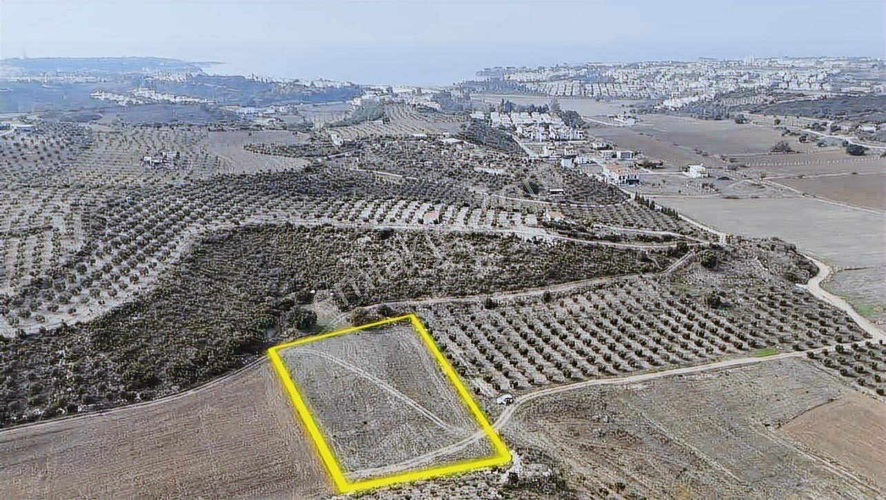 Didim Merkezde Kaçırılmayacak Yatırım Fırsatı