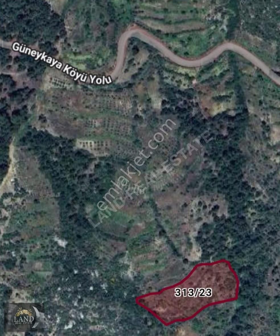 Antalya Akseki'de 5 Dönüm Fırsat Arazi - Görsel 4