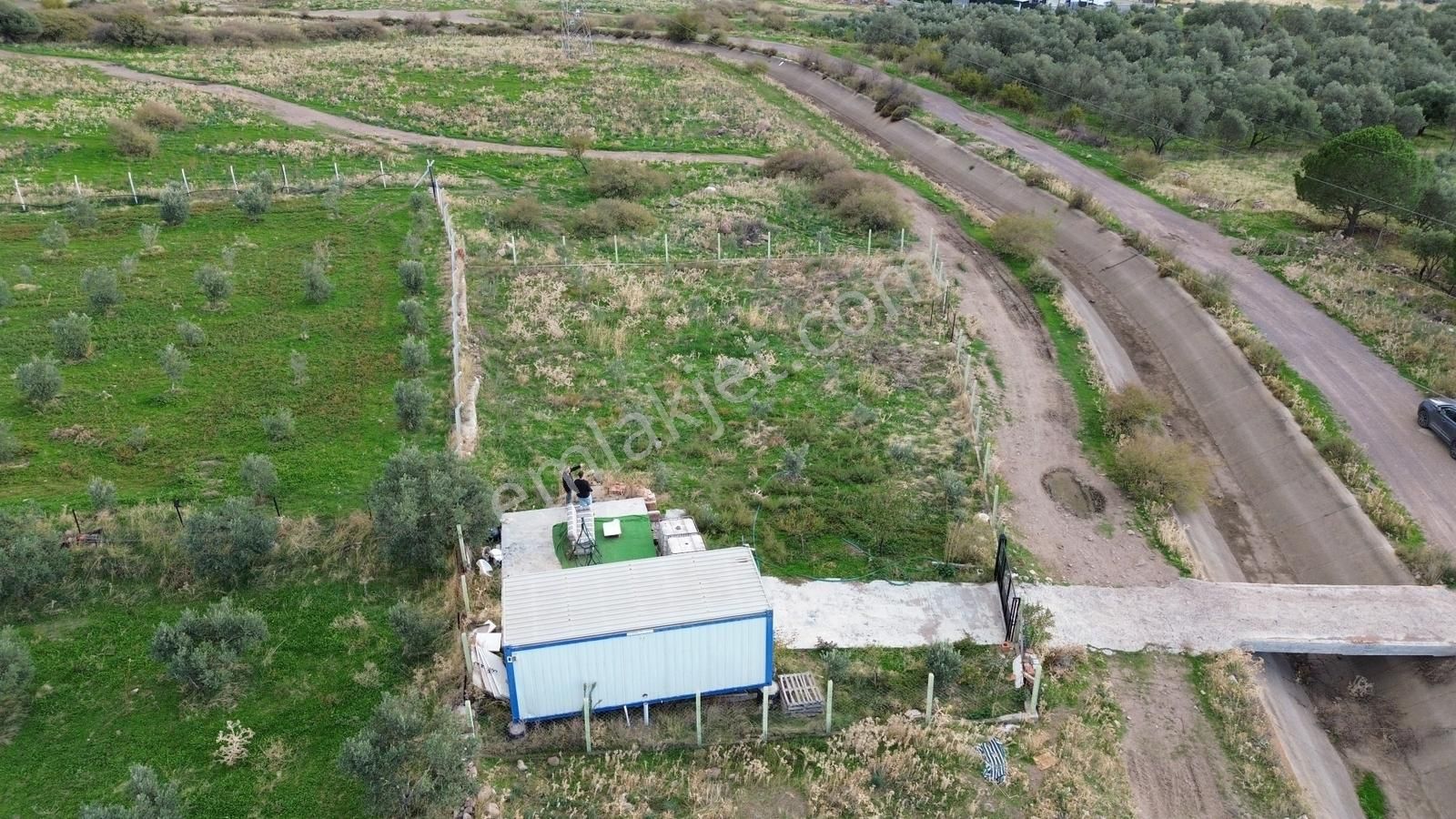 Dikili Bahçeli'de Deniz Manzaralı Satılık Tarla - Görsel 34