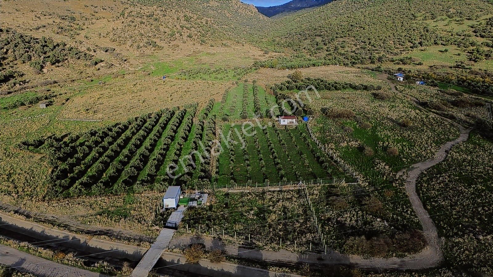 Dikili Bahçeli'de Deniz Manzaralı Satılık Tarla - Görsel 24