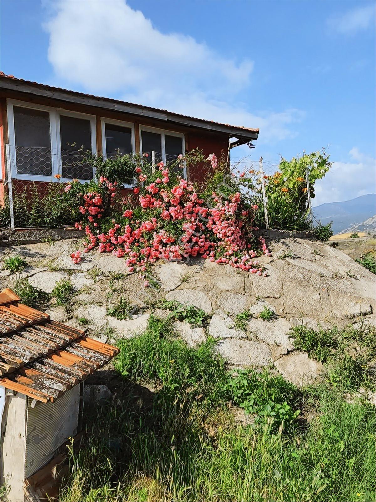 Sıla Gayrimenkulden 12.498 M2.konut Ve Elektiriği Bulunan Tarla - Görsel 12