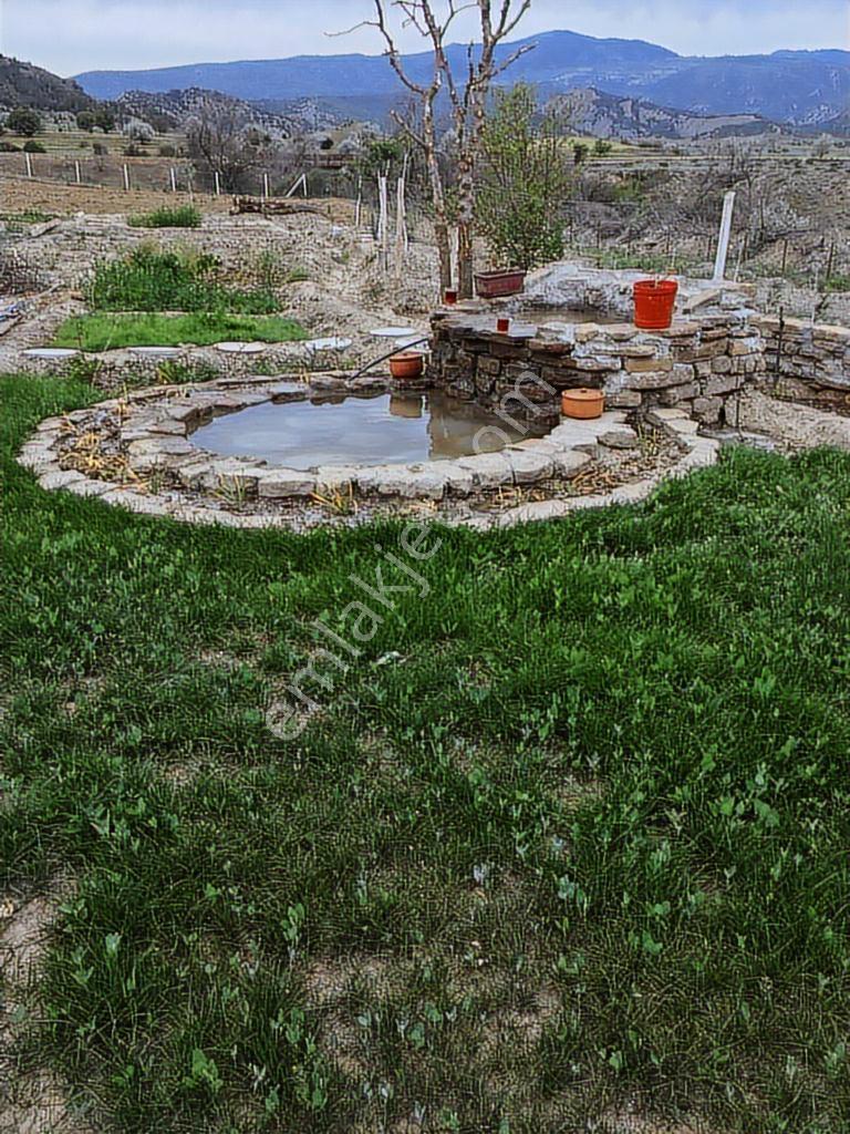 Sıla Gayrimenkulden 12.498 M2.konut Ve Elektiriği Bulunan Tarla - Görsel 4