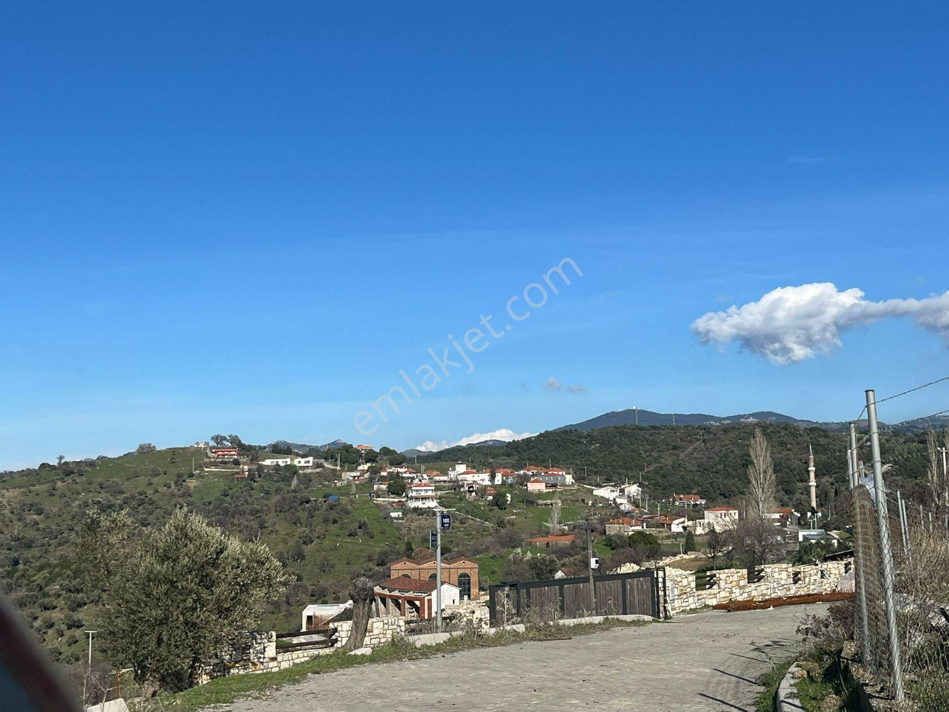 Seferihisar Gölcük Satılık 7 Dönüm Yatırımlık Fırsat Zeytinlik - Görsel 13